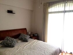 Tanglin Park (D10), Condominium #566116021